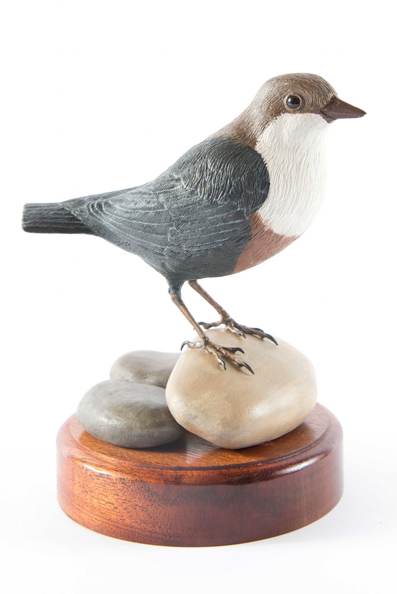 Dipper on stones by Bill Smith