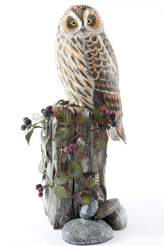 Short Eared Owl by Mike Wood