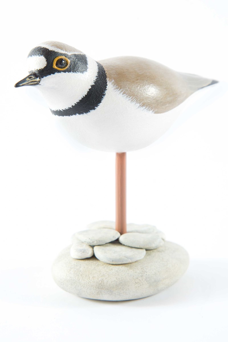 Little Ringed Plover by Ann Palmer