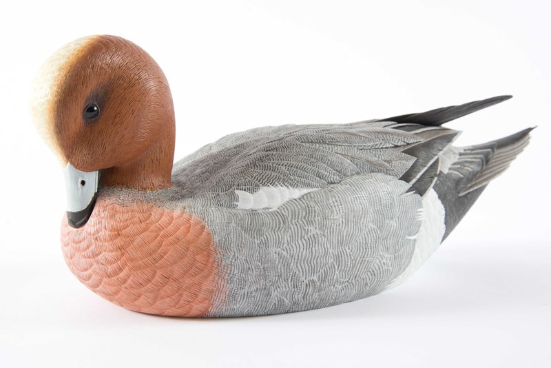 Wigeon by Paul Dalby