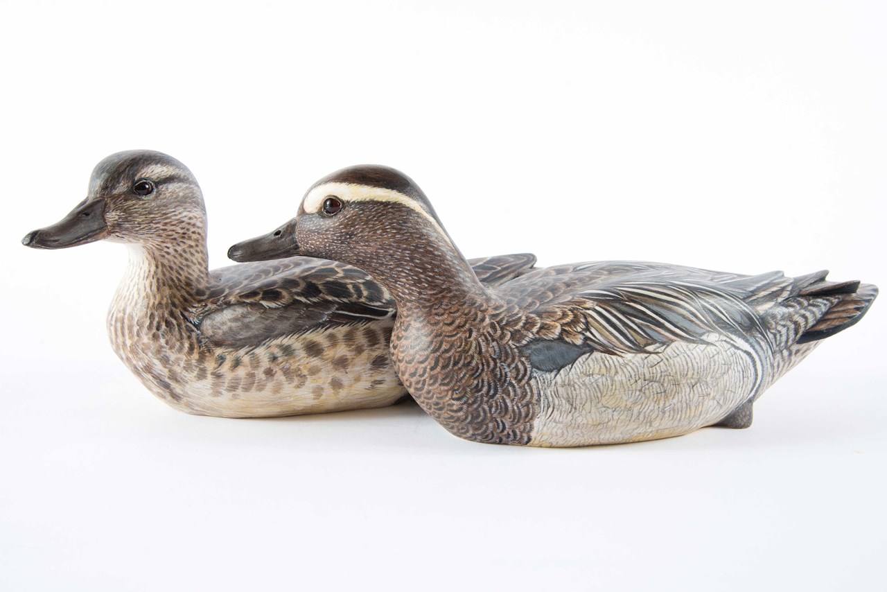 Garganey Pair by Steve Toher