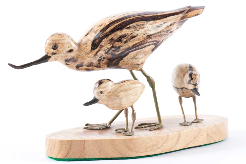 Avocet with young (40% size) in Spalted Ash by John W White