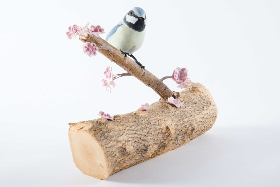 Blue Tit on Blossom