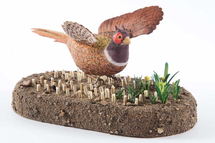 Pheasant