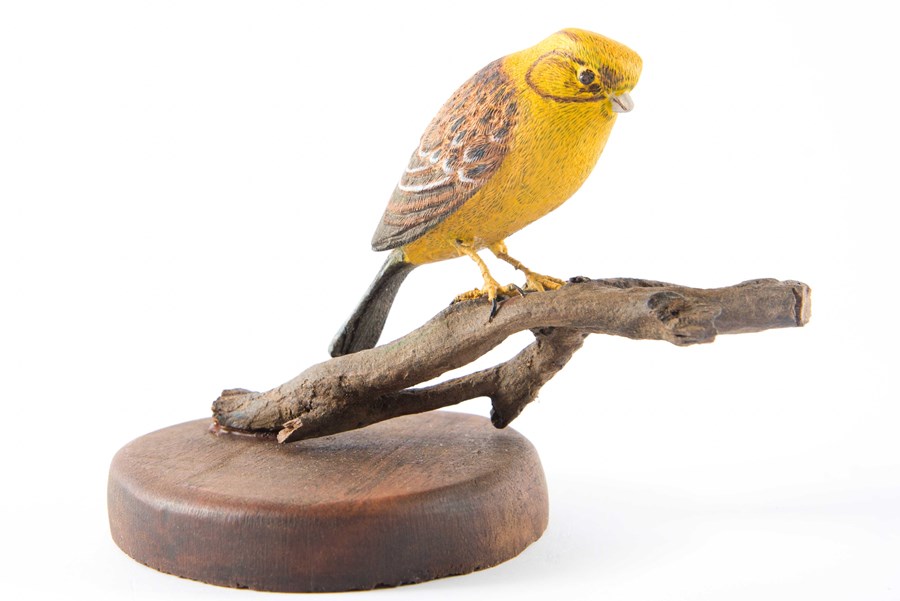 Yellowhammer