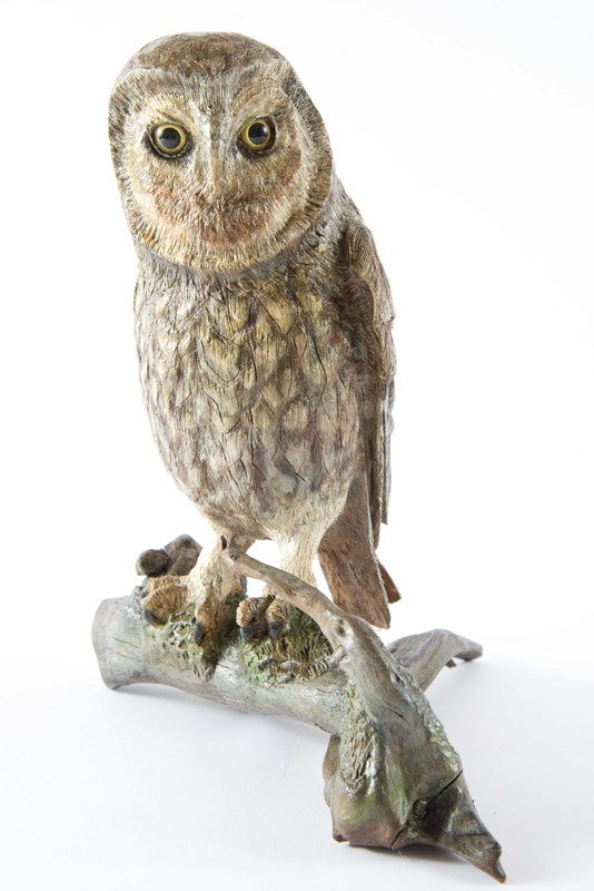 Little Owl