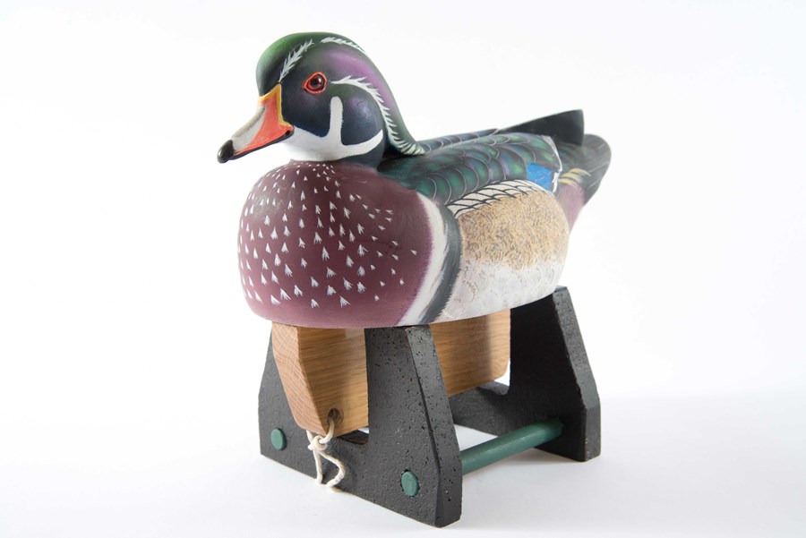 Carolina Wood Duck