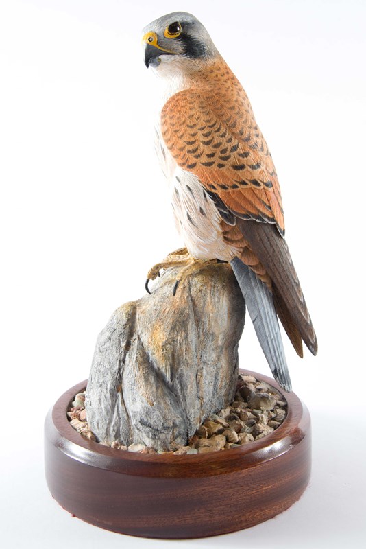 Kestrel