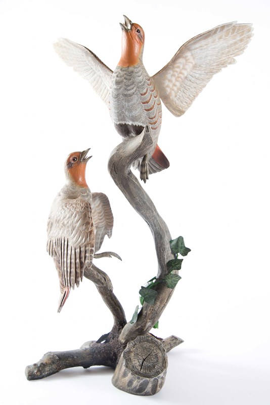 Pair of Grey Partridge