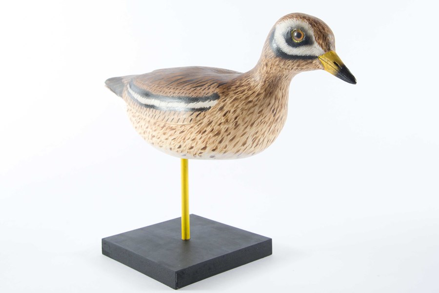 Stone Curlew