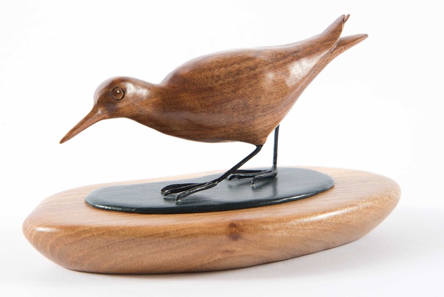 Common Sandpiper in walnut