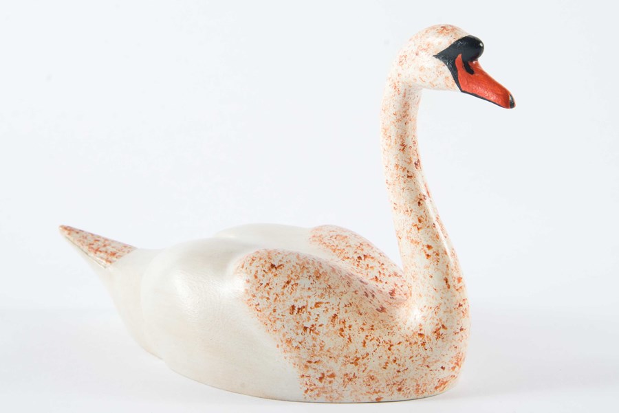 Mute Swan