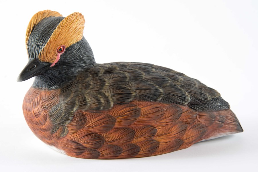 Slavonian Grebe