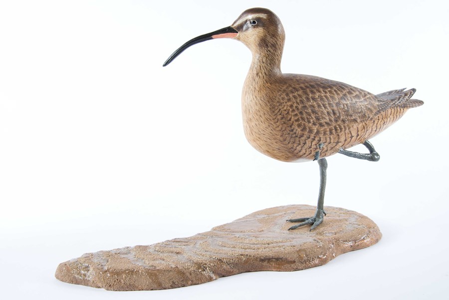 Whimbrel