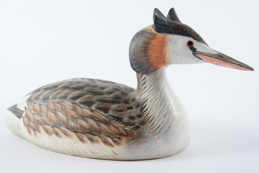 Great Crested Grebe