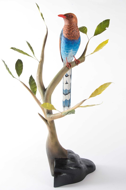 Sri Lankan Blue Magpie