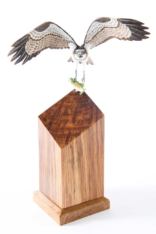 Osprey Fish