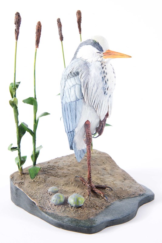 Grey Heron