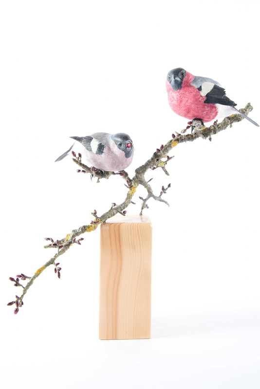 Bullfinch pair