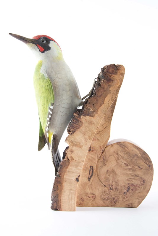 Green Woodpecker