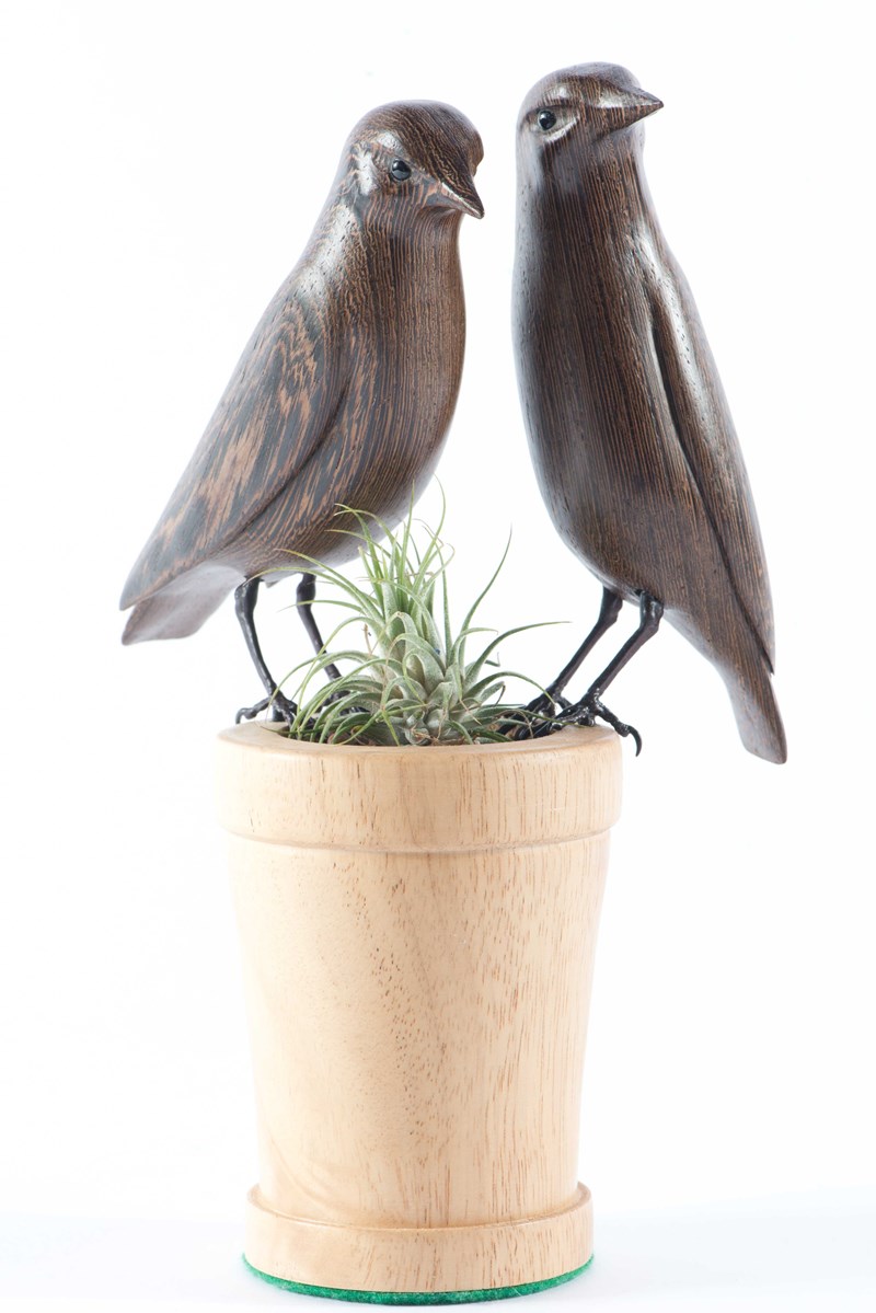 Pair of Starlings on flower pot