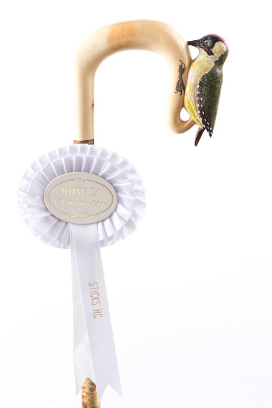 Green Woodpecker stick