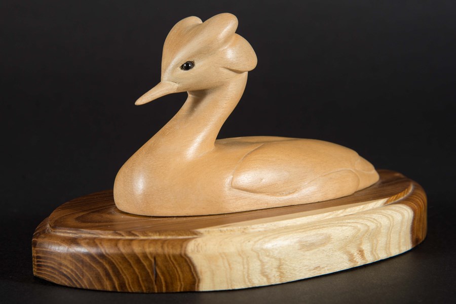 Great Crested Grebe 25% lifesize by Marion Dawson