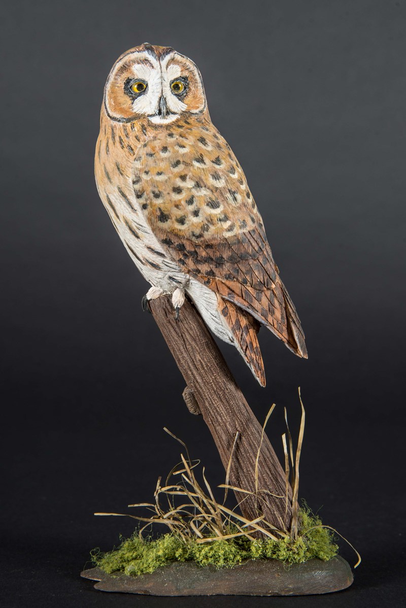 Miniature Short Eared Owl by Alan Pickersgill