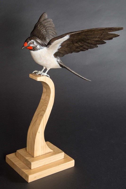 Swallow in bog oak by John W White