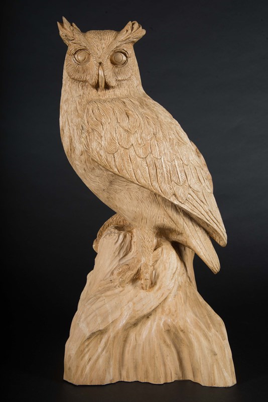 Owl by Trevor Steed