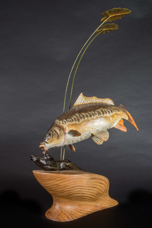 Juvenile Mirror Carp by Bo Wessman