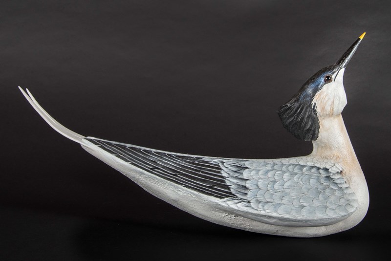 Palm Frond carving of a Sandwich Tern by Tom Fitzpatrick