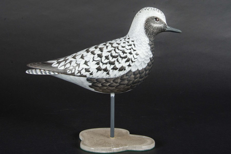 Grey Plover by Paul Dalby