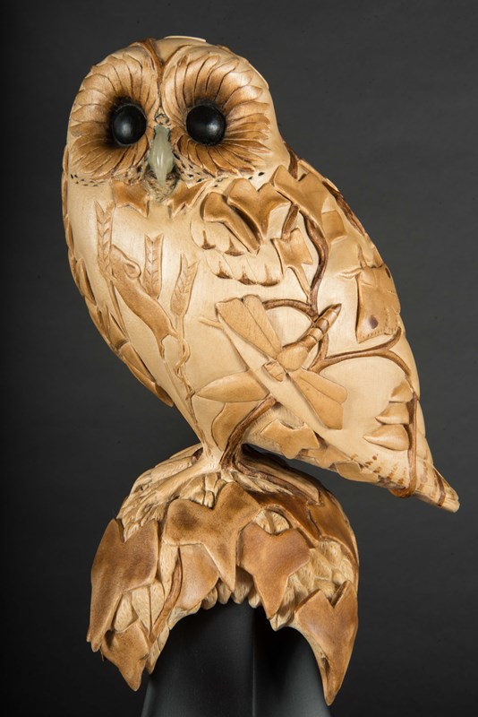 'Owls Life' by Claire Williams