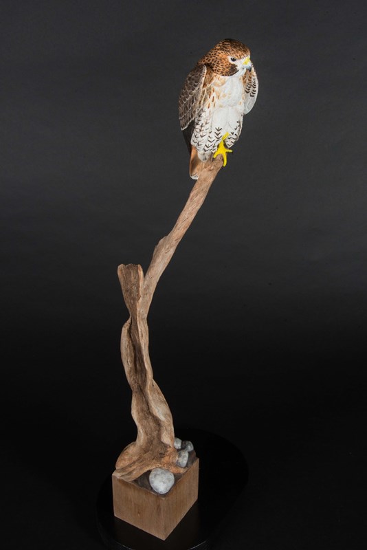 Red Tailed Hawk by Richard Rossiter