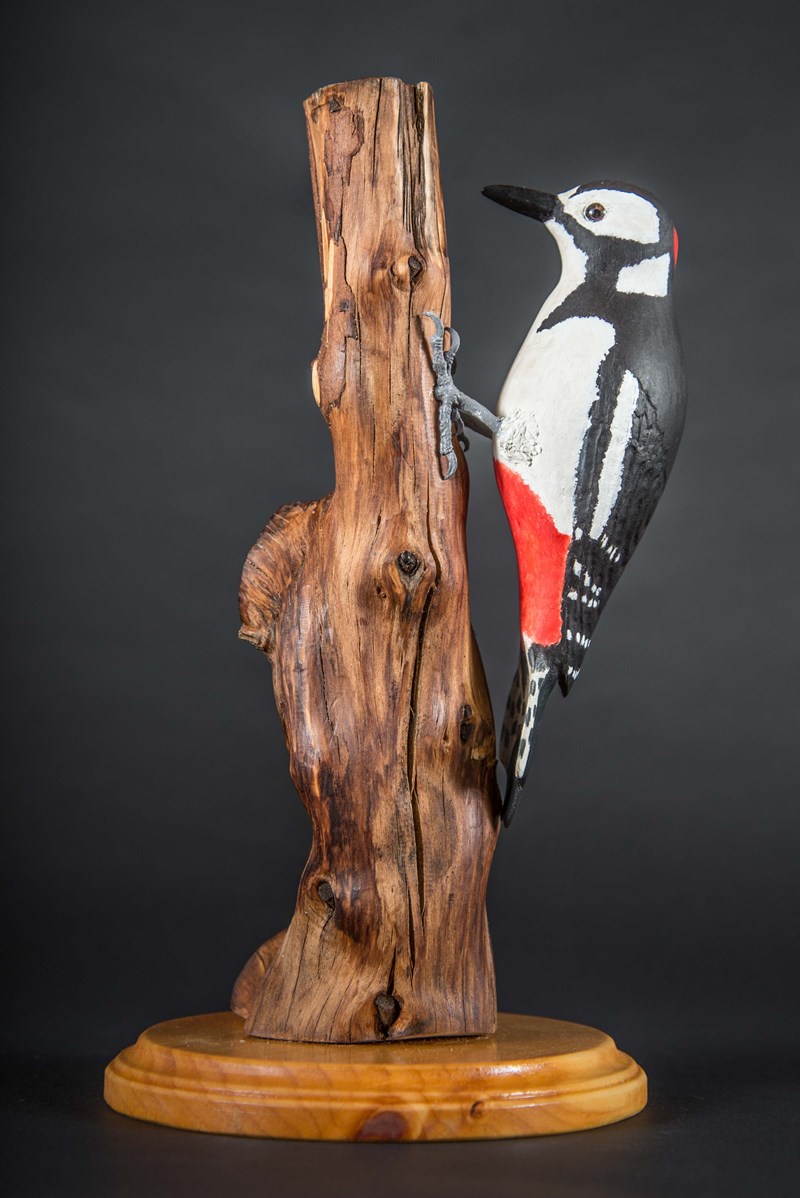 Great Spotted Woodpecker