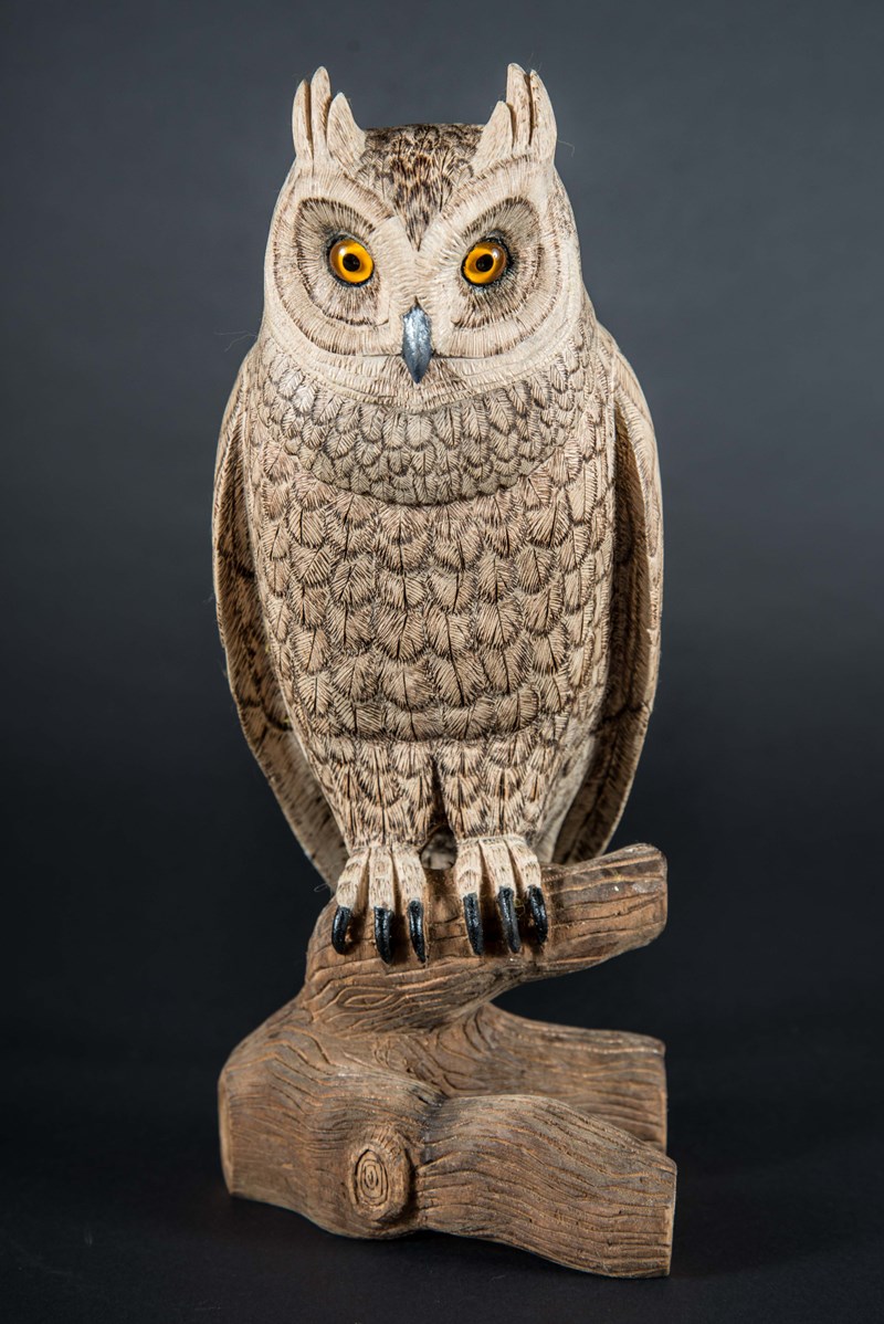Long Eared Owl 80% lifesize