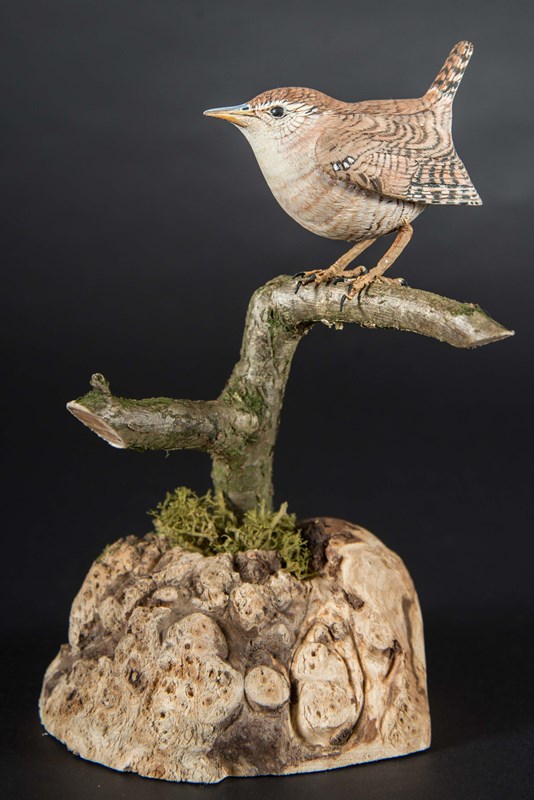 Wren