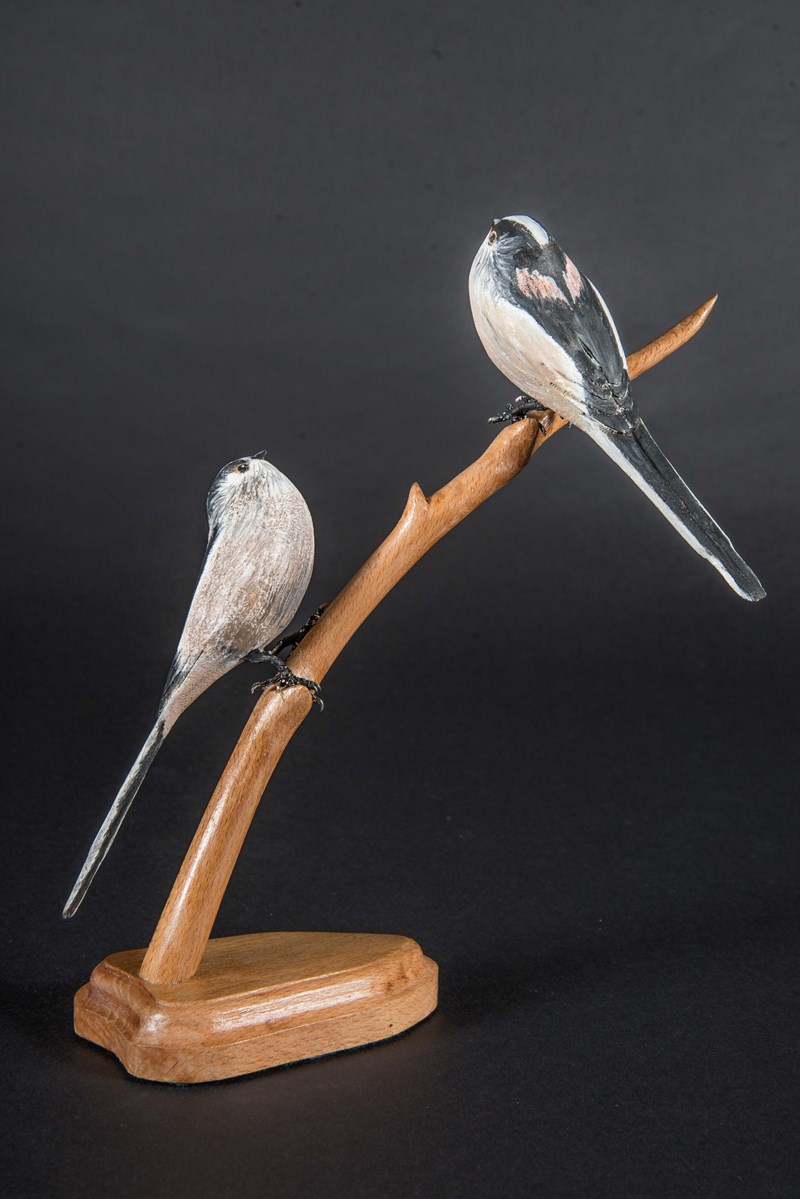 Pair of Long Tailed Tits