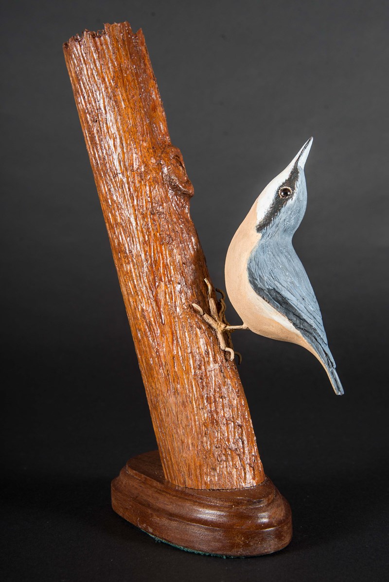 Nuthatch