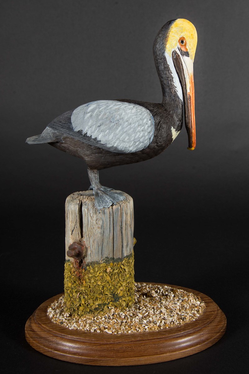 Atlantic Brown Pelican one fifth size