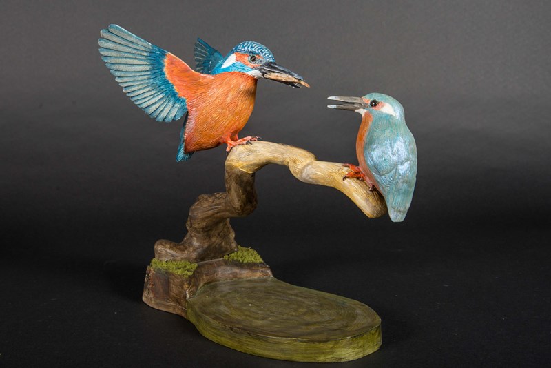 Kingfisher feeding a juvenile