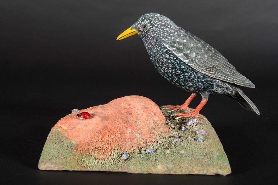 Starling