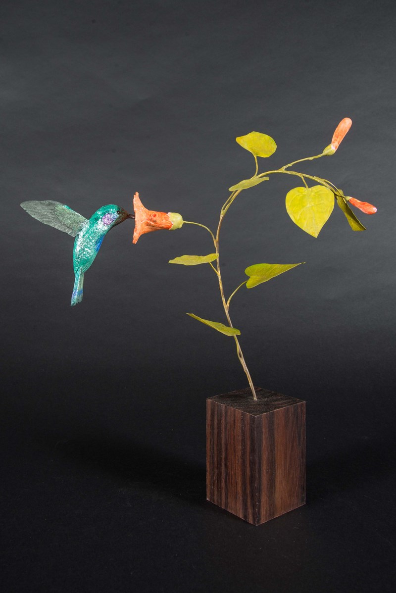 Violet Eared Humming Bird