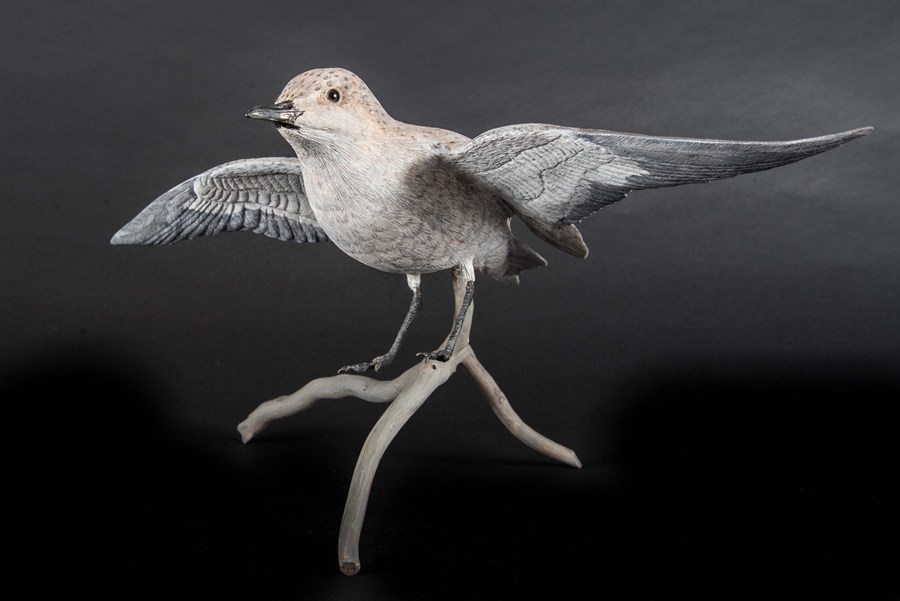 Flying Sanderling