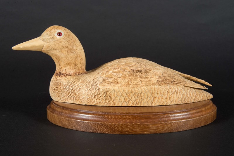 Loon one quarter lifesize