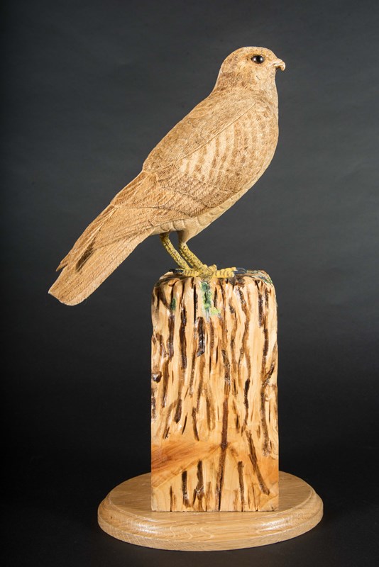 Kestrel