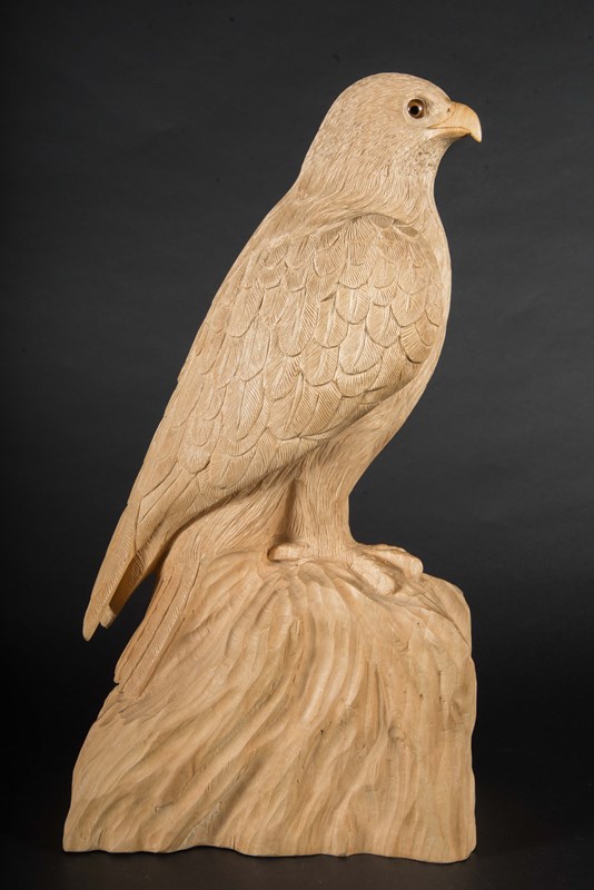 Falcon