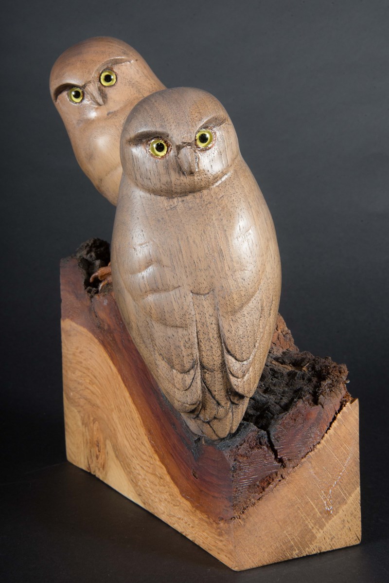 Inquisitive Little Owls 80% lifesize