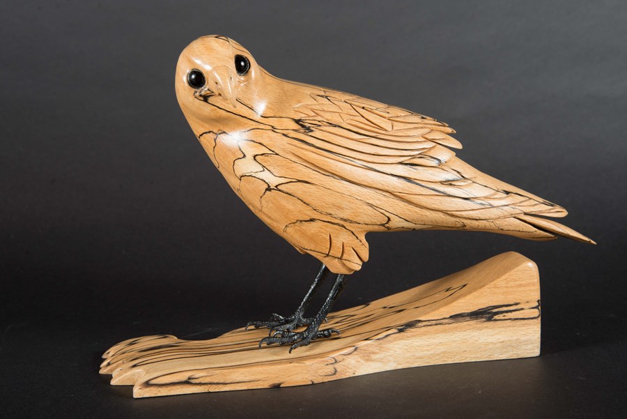 Sparrowhawk